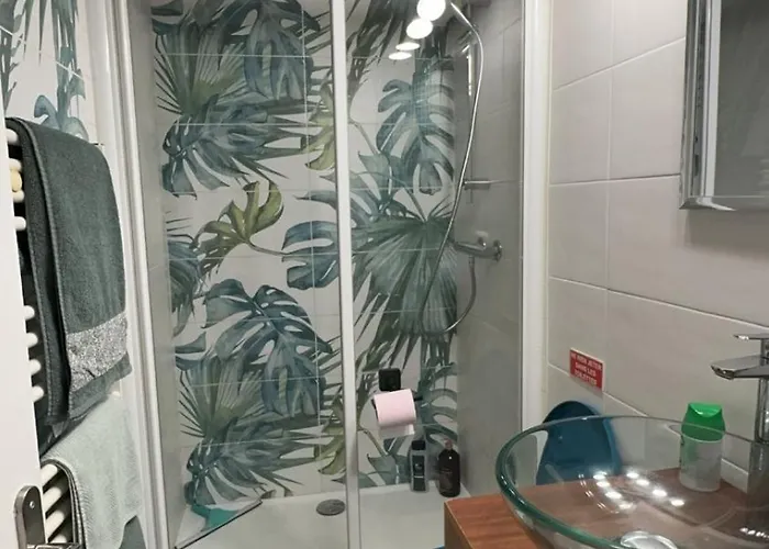 Duplex Spagiari