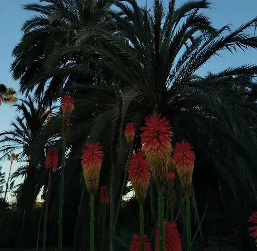 アパート Duplex Spagiari *